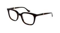 Gucci Web GG1497O 002 50-20 Havane