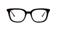 Gucci Web GG1497O 002 50-20 Havane