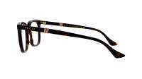 Gucci Web GG1497O 002 50-20 Havane