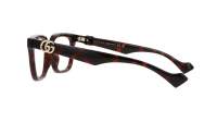 Gucci Gg logo GG1536O 006 53-17 Havana