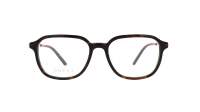 Gucci Web GG1576O 002 52-18 Havane