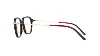 Gucci Web GG1576O 002 52-18 Havane