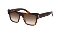 Saint Laurent SL 469 020 51-19 Tartaruga