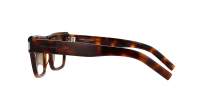 Saint Laurent SL 469 020 51-19 Tartaruga