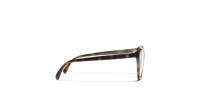 CHANEL CH3464 1761 53-16 Havana