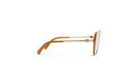 CHANEL CH3462 1760 54-17 Marrone