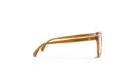 CHANEL CH3463 1760 54-17 Marrone