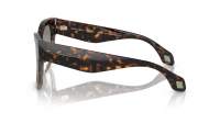 Giorgio Armani AR8195U 587932 51-19 Havana Green 
