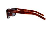 Gucci Web GG1524S 002 51-22 Havana
