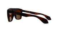 Gucci Lettering GG1570S 002 57-18 Tartaruga