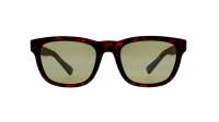 Maui Jim Kapi'i HT617-10A 54-20 Tartaruga