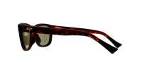 Maui Jim Kapi'i HT617-10A 54-20 Tartaruga