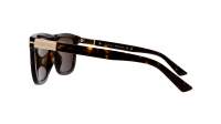 Gucci Web GG1502S 002 54-18 Tartaruga