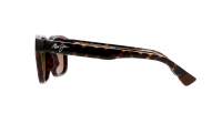 Maui Jim Maluhia HS643-10 52-20 Tortoise