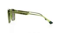 Maui Jim Kupa'a GS641-15 55-18 Verde