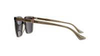 Gucci Web GG1493S 003 54-18 Braun