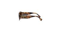 FENDI Roma FE40125I 53E 52-21 Tartaruga