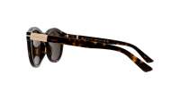 Gucci Web GG1501S 002 52-21 Tartaruga