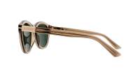 Gucci Web GG1501S 004 52-21 Marrone