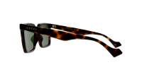 Gucci Lettering GG1540S 002 55-18 Tartaruga