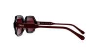 Chloé CH0227S 002 56-19 Viola