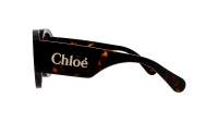 Chloé CH0234S 002 53-22 -