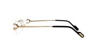 Cartier Core range CT0488O 001 56-19 Or