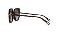 Chloé CH0240S 002 53-23 Tartaruga