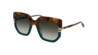 Chloé CH0240S 005 53-23 Tartaruga
