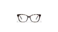 CHANEL CH3463 1761 54-17 Tortoise