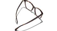 CHANEL CH3463 1761 54-17 Tortoise