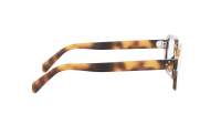 CELINE 3 dots hd CL50144U 053 49-21 Havane