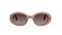CELINE Triomphe 01 CL40194U 45F 52-22 Marrone