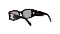 CELINE Maxi triomphe CL40282U 52A 53-18 Havane