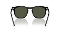 Ray-Ban RB2210 901/31 53-21 Crna