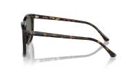 Ray-Ban RB2210 902/31 53-21 Havana