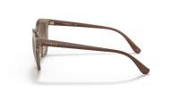 Vogue Eyewear VO5427S 294013 50-20 Transparent Brown