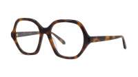 Loewe Thin LW50072I 052 55-17 Havane