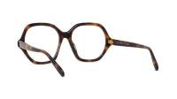 Loewe Thin LW50072I 052 55-17 Havane