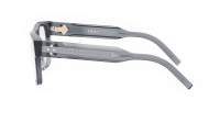 DIOR CD DIAMONDO S6I 3000 54-15 Blu