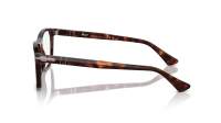 Persol PO3344V 24 54-19 Havana