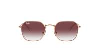 Ray-Ban RJ9594S 291/8H 49-19 Rose Gold