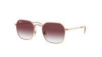 Ray-Ban RJ9594S 291/8H 49-19 Rose Gold