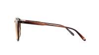 Garrett Leight Morningside 2076 RWT 51-21 Redwood Tortoise