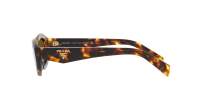 Prada Symbole PR 26ZS 14L-09Z 55-16 Honey Tortoise