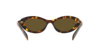 Prada Symbole PR 26ZS 14L-09Z 55-16 Honey Tortoise