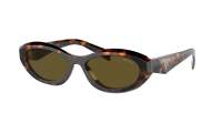 Prada Symbole PR 26ZS 14L-09Z 55-16 Honey Tortoise