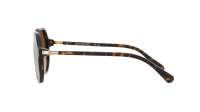 Swarovski SK6003 1002/13 57-16 Havana