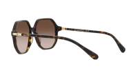 Swarovski SK6003 1002/13 57-16 Havana