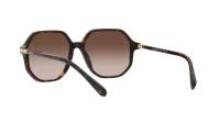 Swarovski SK6003 1002/13 57-16 Havana